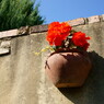 DSC02361