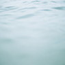 海