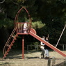 useing@