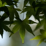 useing@