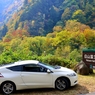 錦秋　愛車in白山国立公園