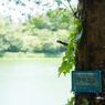 鳥原貯水池と周辺のスナップ