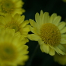 useing@