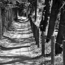 散歩道