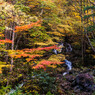 おおくら滝の登山道から