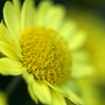 useing@
