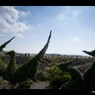 何これ珍百景！