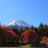 富士山と紅葉