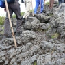 富士山アタック黒鳥隊。ひたすら登る、7合目～8合目。100723-160700