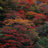 五家荘　2012　#2