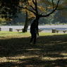 useing@
