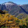 黄葉・仙水峠