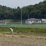 土を肥やす