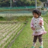 風と歌と