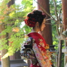 後ろ美人