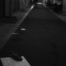 IMGP0496