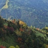 草津・白根山 (11)