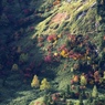 草津・白根山 (17)