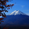 富士と紅葉