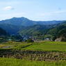 秋の農村
