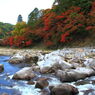 巴川の秋