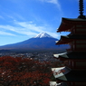 五重塔の向こうに富士