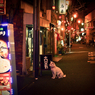 A Night Stroll in Asagaya #14
