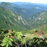 谷川岳から見る万太郎山