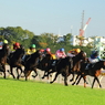 横一線の追い比べ！