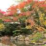紅葉_01