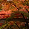 河鹿橋にて