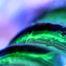 _MG_0844ｔ