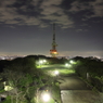 湘南平からの夜景