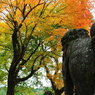 photo_2200002