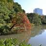 六義園