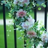 花冠