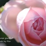 IMG_0640ria