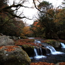 渓谷の紅葉　#2