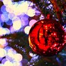 クリスマスツリー