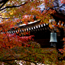IMGP0765