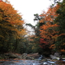 渓谷の紅葉　#4