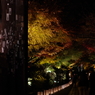 紅葉ライトアップはじまり