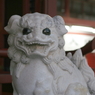 DPP_0016