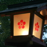 DPP_0019