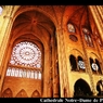 Cathédrale Notre-Dame de Paris