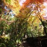 京都補完計画 其ノ柒