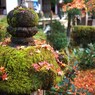 京都補完計画 其ノ玖