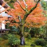 京都補完計画 其ノ拾