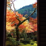 京都補完計画 其ノ拾壱