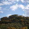 鏡山を見上げて